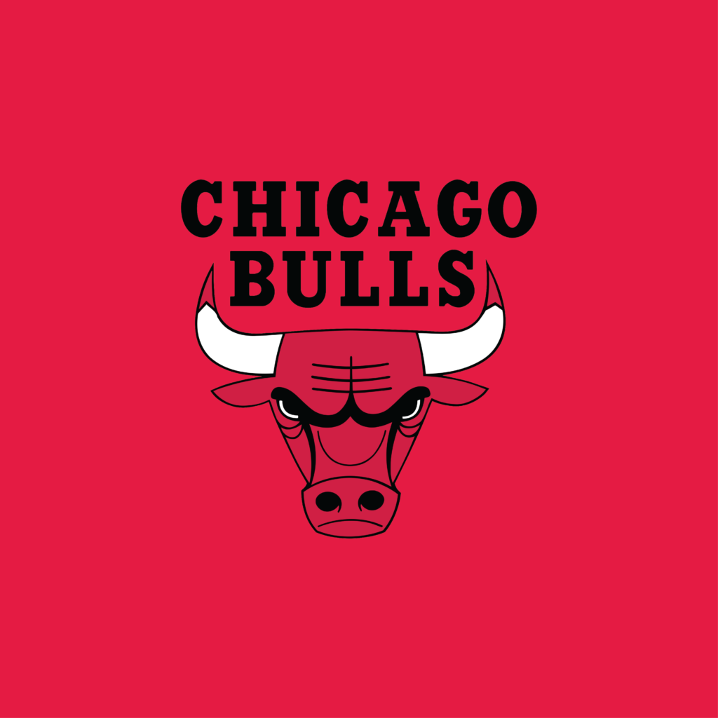 NBA Chicago Bulls Showbag
